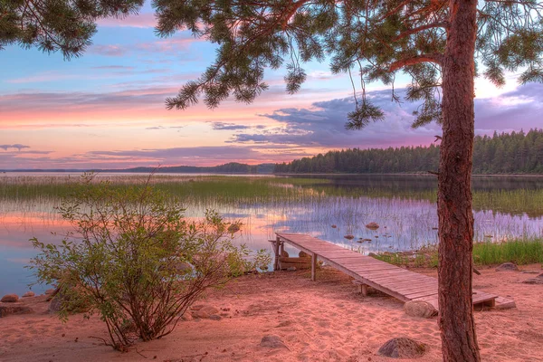 Arbre et jetée sur le rivage du lac dans la belle soirée — Photo