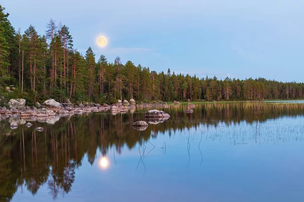 Bosque en la orilla del lago y la luna llena — Foto de Stock