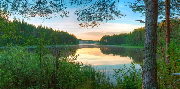 호수와 숲의 파노라마 풍경 — 스톡 사진