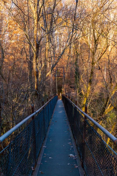 Lullwater 公園、アトランタ、アメリカ合衆国の橋 — ストック写真