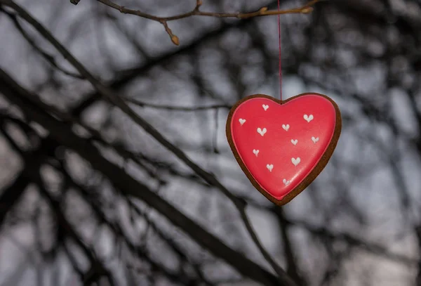 Biscotto a forma di cuore rosso sull'albero — Foto Stock