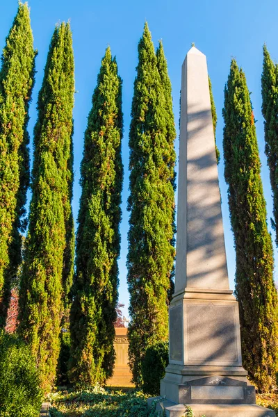 Obelisco e ciprestes no Cemitério de Oakland, Atlanta, EUA — Fotografia de Stock