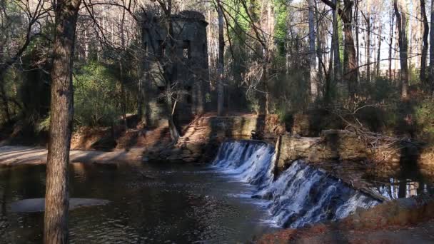 Waterval in Lullwater Park, Atlanta, Verenigde Staten — Stockvideo