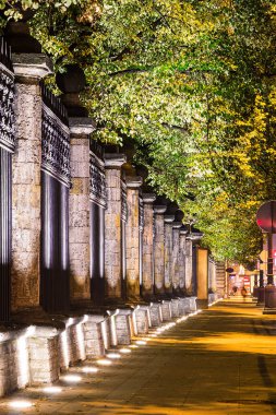 Şehir Parkı ışıklı dekoratif çit