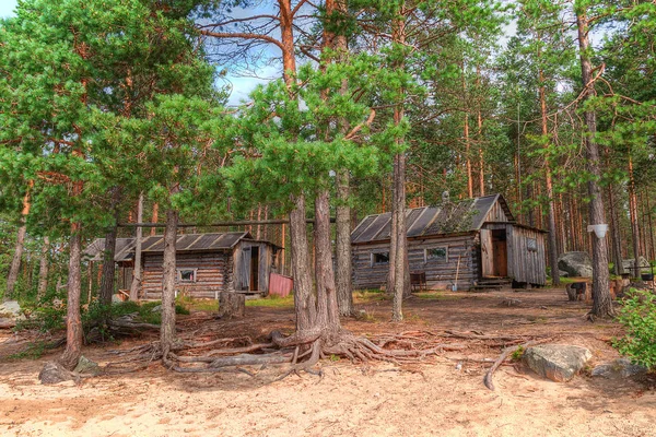Hut i Bania w lesie — Zdjęcie stockowe
