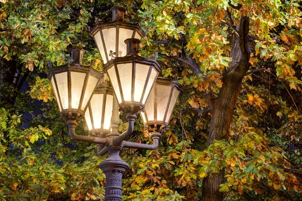 紅葉の街路灯を夜光る — ストック写真