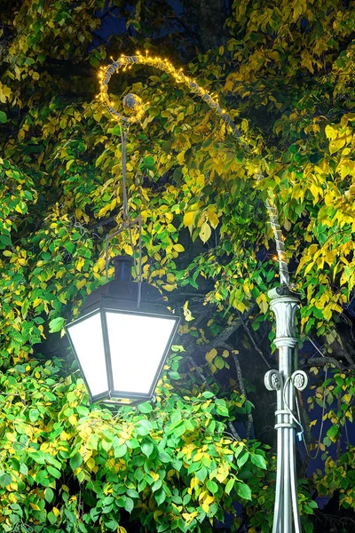 Świecące latarni w liści w nocy — Zdjęcie stockowe
