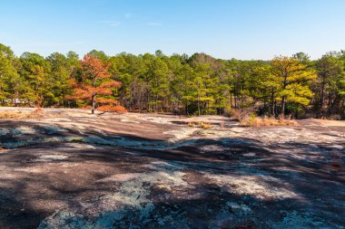 Stone Mountain Park, Georgia, ABD zemin ağaçlar ve taş