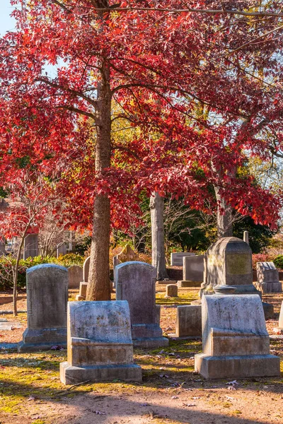 Pedras tumulares e carvalho vermelho no Cemitério de Oakland, Atlanta, EUA — Fotografia de Stock