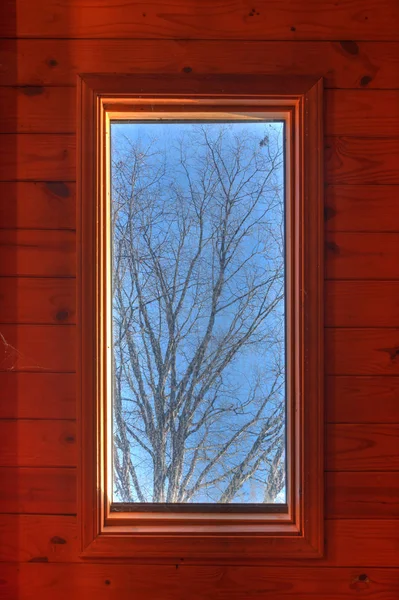 Tree outside window in wooden roof