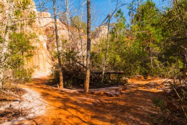 Loamy patika ve Providence Kanyon duvar ağaçlar, ABD ile