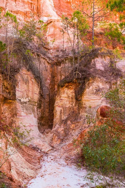 Muralla de Providence Canyon con árboles, Estados Unidos —  Fotos de Stock