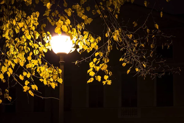 Lichtgevende straatlantaarn in park's nachts — Stockfoto