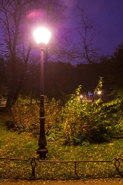 Lichtgevende straatlantaarn in park in de schemering — Stockfoto