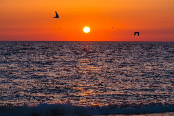 Захід сонця на море — стокове фото