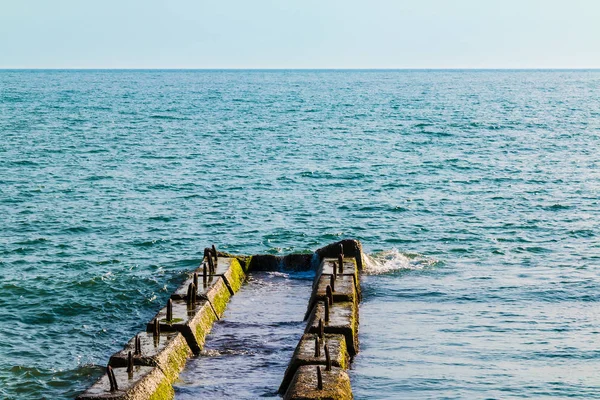 Maulwurf im Meer — Stockfoto