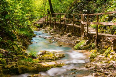 Creek Park Berendeyevo Tsarstvo, Sochi, Rusya Federasyonu