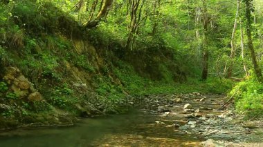 Glubokaya Nehri güneşli gün, Sochi, Rusya Federasyonu