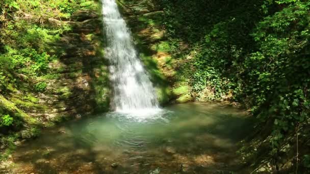 Cascada en el parque Berendeyevo Tsarstvo, Sochi, Rusia — Vídeo de stock