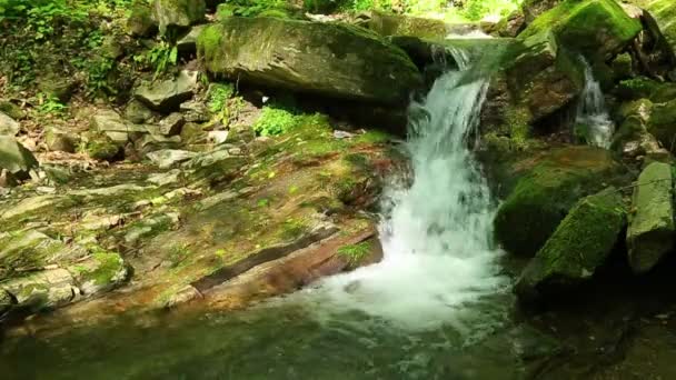 Cascada en el parque Berendeyevo Tsarstvo, Sochi, Rusia — Vídeos de Stock