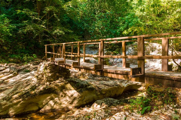 Ahşap köprüye Agura nehir, Sochi, Rusya Federasyonu