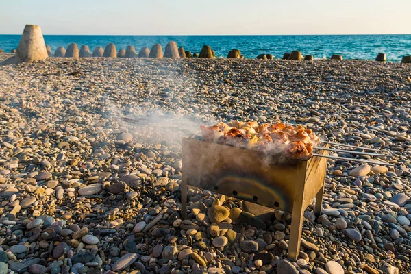 Mangal Şaşlık çakıl plajı ile
