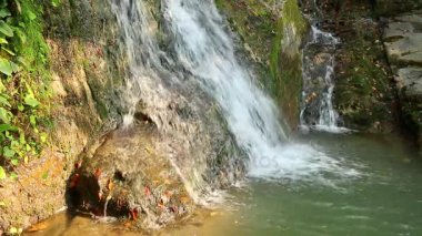 Dağ nehir Bezumenka closeup güneşli bir sonbahar gün, Sochi, Rusya Federasyonu içinde basamaklı şelale