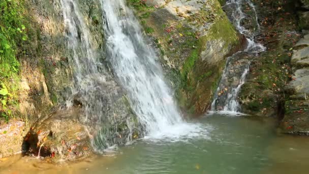 Der Kaskadenwasserfall Des Gebirgsflusses Bezumenka Nahaufnahme Sonnigen Herbsttagen Sotschi Russland — Stockvideo