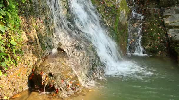 Trapsgewijze Waterval Van Berg Rivier Bezumenka Close Zonnige Herfstdag Sotsji — Stockvideo