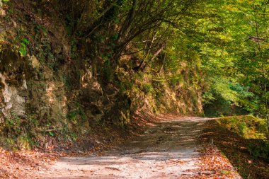 Manzara dağ Trail güneşli sonbahar günü, Sochi, Rusya Federasyonu