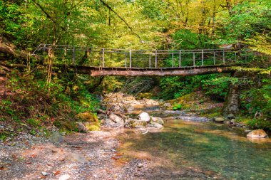 Bezumenka Nehri üzerinde köprü vadide, Sochi, Rusya Federasyonu
