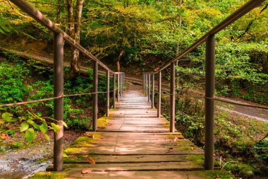 Bezumenka Nehri üzerinde köprü vadide, Sochi, Rusya Federasyonu