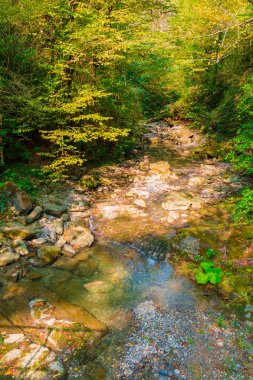 Bezumenka Nehri dağ geçidi, Sochi, Rusya Federasyonu