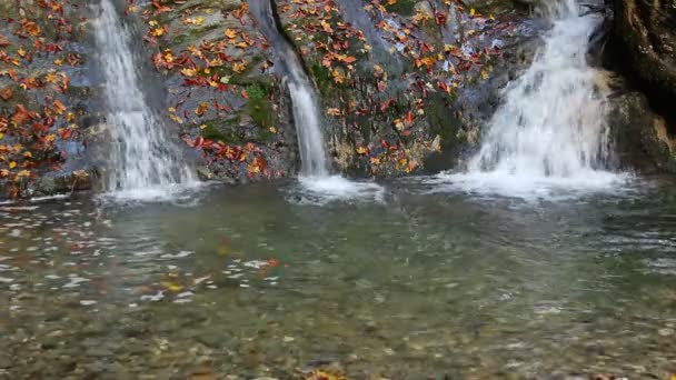 Kaskada Wodospadu Rzeki Górskie Bezumenka Wielu Suchych Liści Jesienny Dzień — Wideo stockowe
