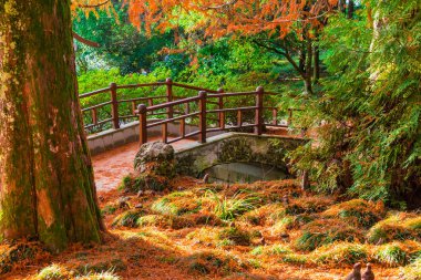Japon Bahçe Botanik Bahçesi, Sochi, Rusya Federasyonu