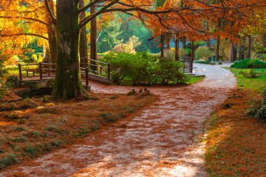 Japon Bahçe Botanik Bahçesi, Sochi, Rusya Federasyonu