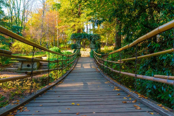 Suspension bridge in Arboretum, Sochi, Russia — Stock Photo, Image