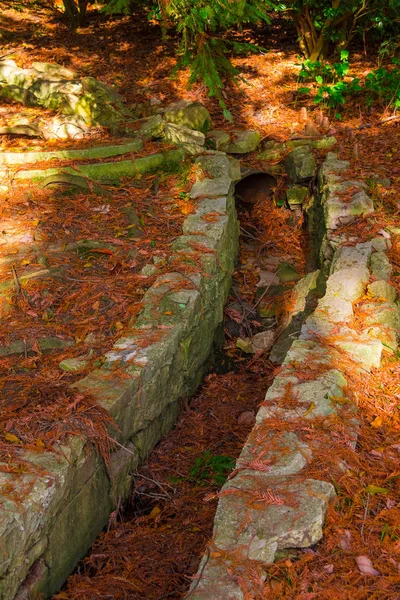 Dreno em Arboretum, Sochi, Rússia — Fotografia de Stock