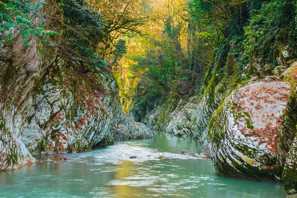 Devil's Gate Kanyon ve Khosta Nehri, Sochi, Rusya Federasyonu