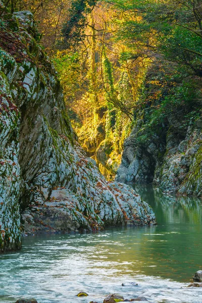 Devil's Gate Kanyon ve Khosta Nehri, Sochi, Rusya Federasyonu