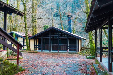 Sonbahar günü rustik ahşap binalarda