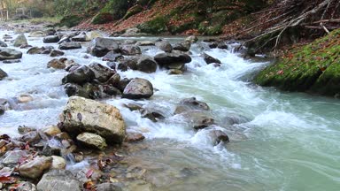 Khosta River Rapids ıslak kayalar ve kuru yaprakları ile mayınları shore ile su akışını