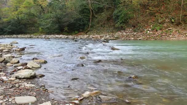 濡れた岩と海岸の乾燥した葉が散らばってホスタ川の急流の水の流れ — ストック動画