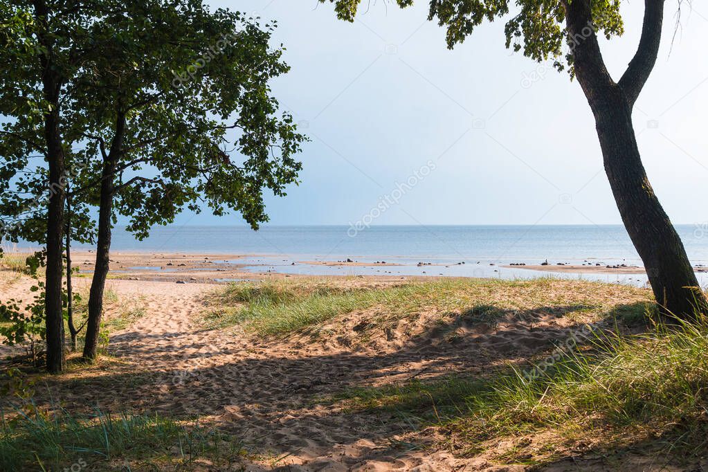 Sand beach of Gulf of Finland