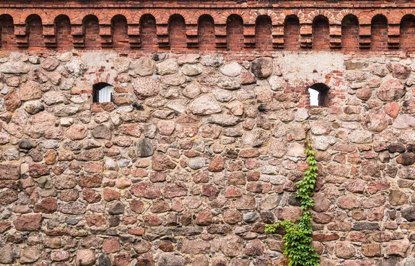 Steinmauer der Burg Wyborg — Stockfoto