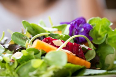 Bir plaka üzerinde sağlıklı salata yakın çekim