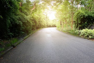 İki tarafında ağaçlar olan asfalt yol.