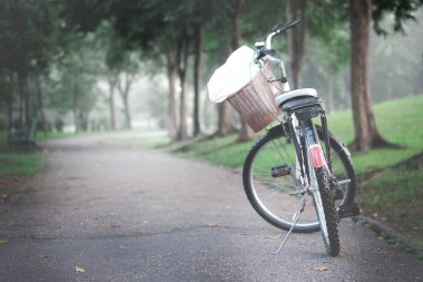 Parkta, vintage sesi bir yolda siyah Bisiklet.