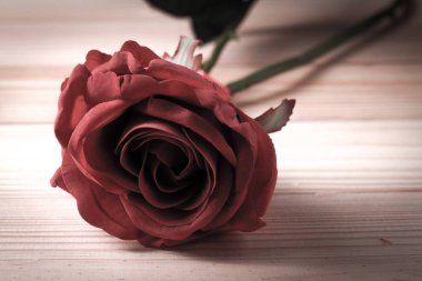 Ahşap bir vintage sesi üzerinde yapay adet kırmızı gül. Sevgililer günü kavramı