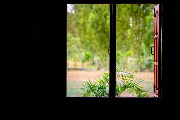 Träfönster i ett mörkt hörnterrass hem med gröna naturen utanför. — Stockfoto